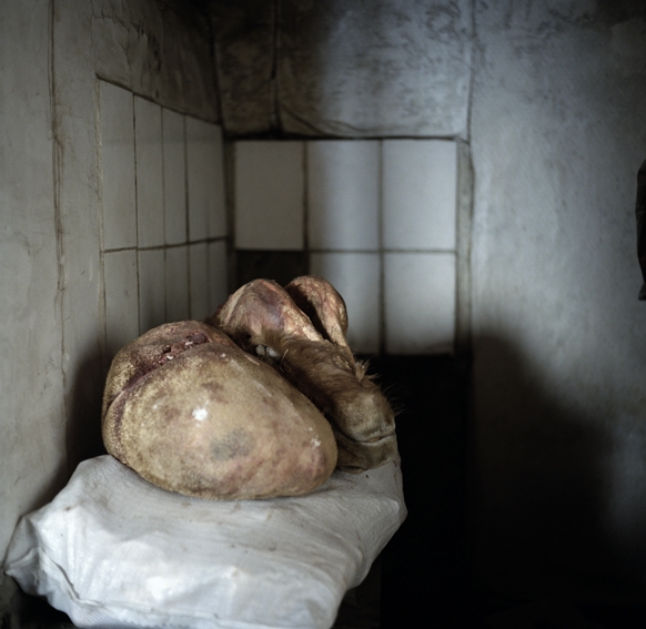 http://www.lucile-chombartdelauwe.com/files/gimgs/36_lc11a8203.jpg